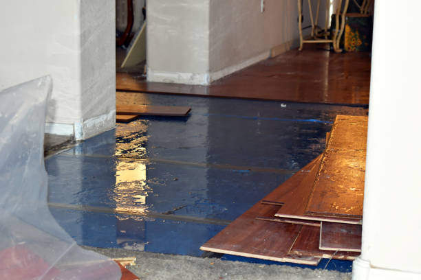 Professional Flood Damage Repair technician working in Cos Cob, CT